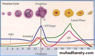 Abnormal uterine bleeding