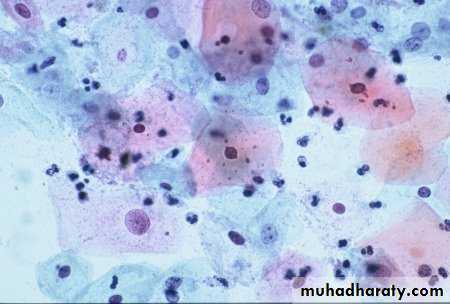 Premalignat disease