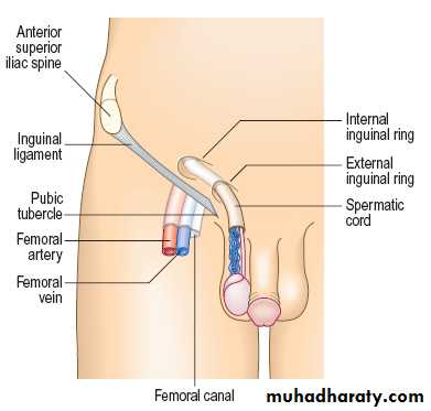 Macleods Clinical Examination 13th edition
