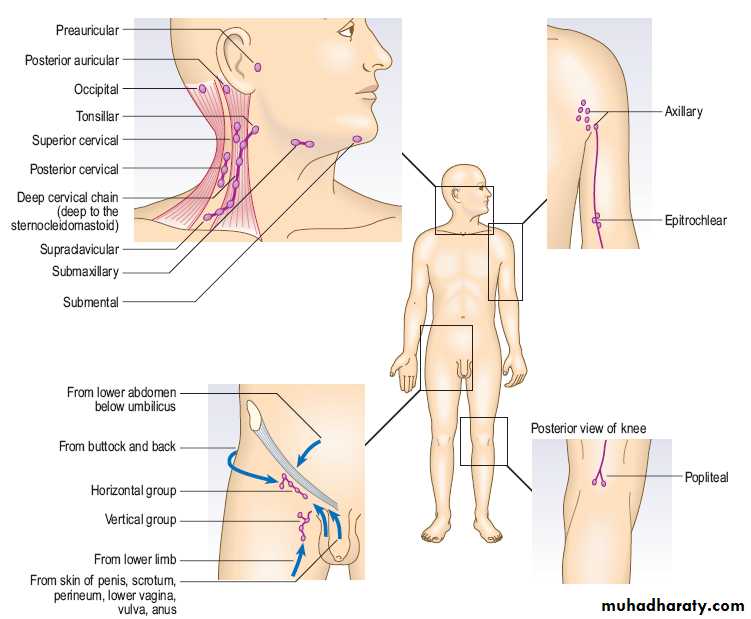 Macleods Clinical Examination 13th edition