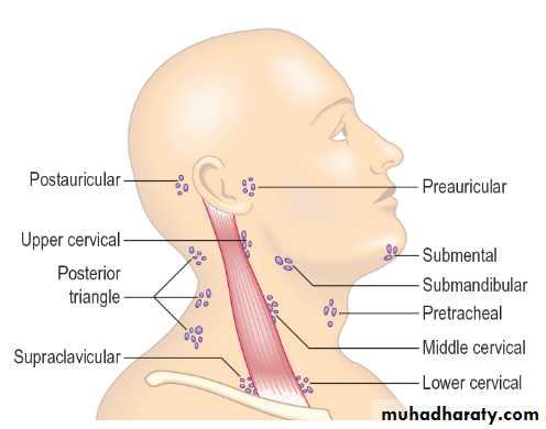 Macleods Clinical Examination 13th edition