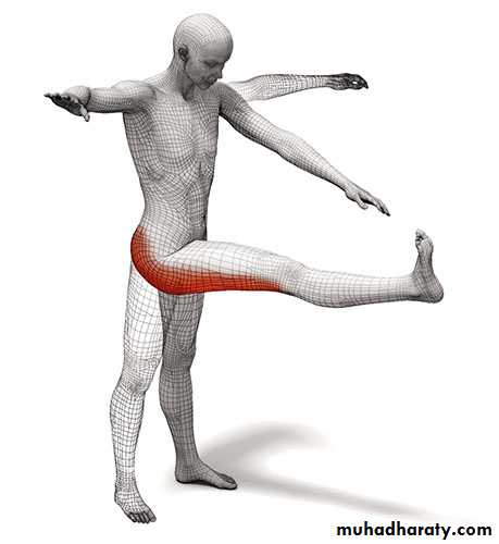 Orthopedic surgery
