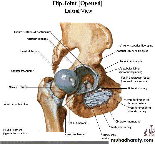 Orthopedic surgery