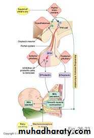 hormones