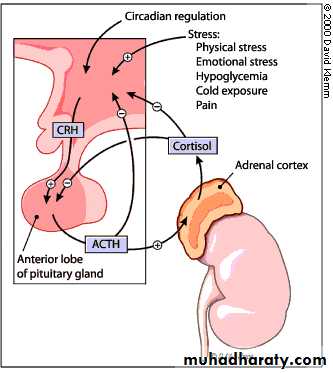 hormones