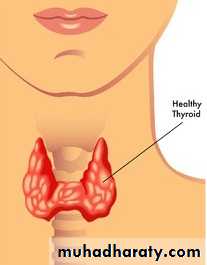 hormones