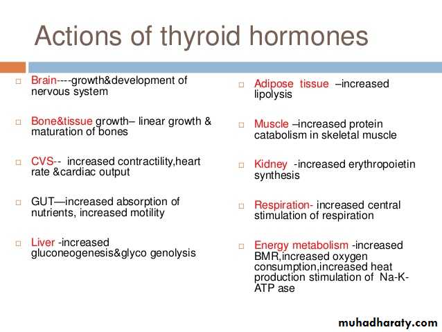 hormones