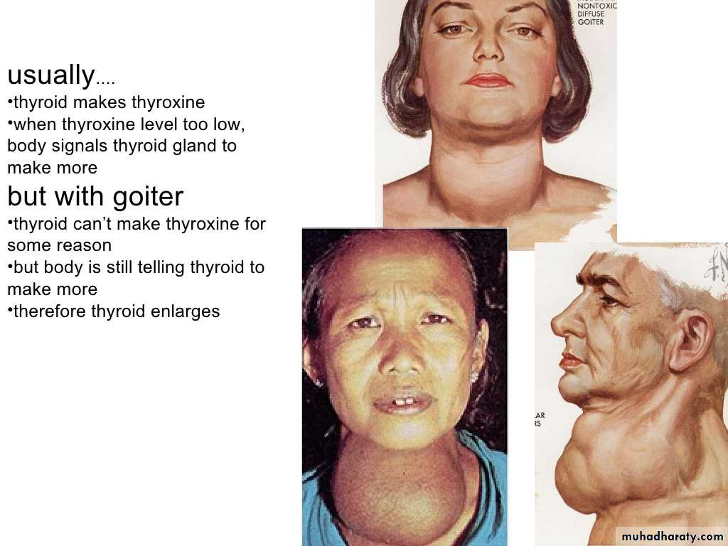 hormones