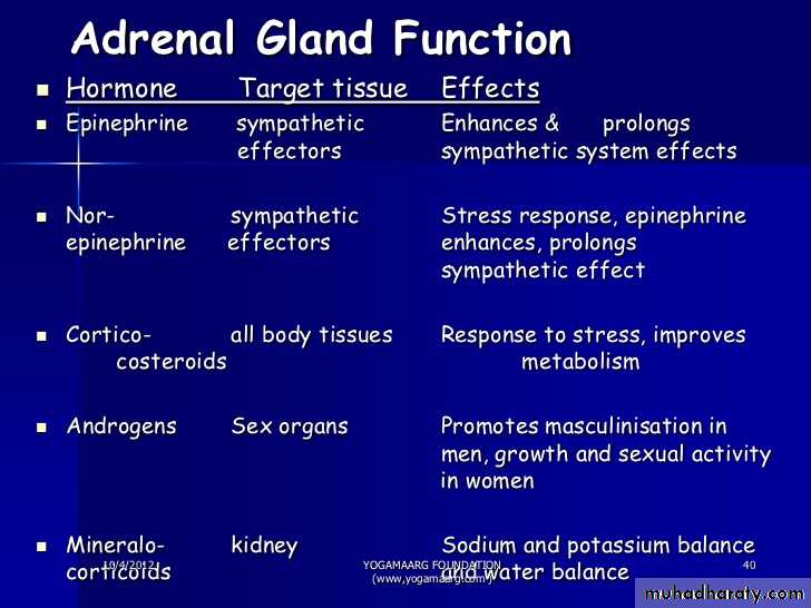 hormones
