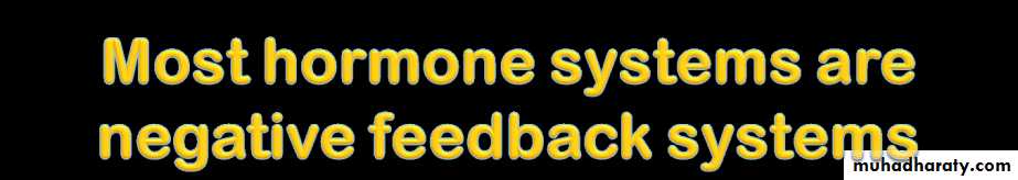 human endocrine system