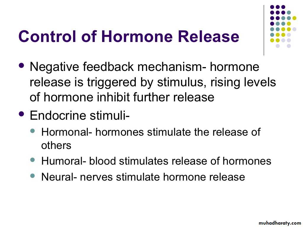 human endocrine system