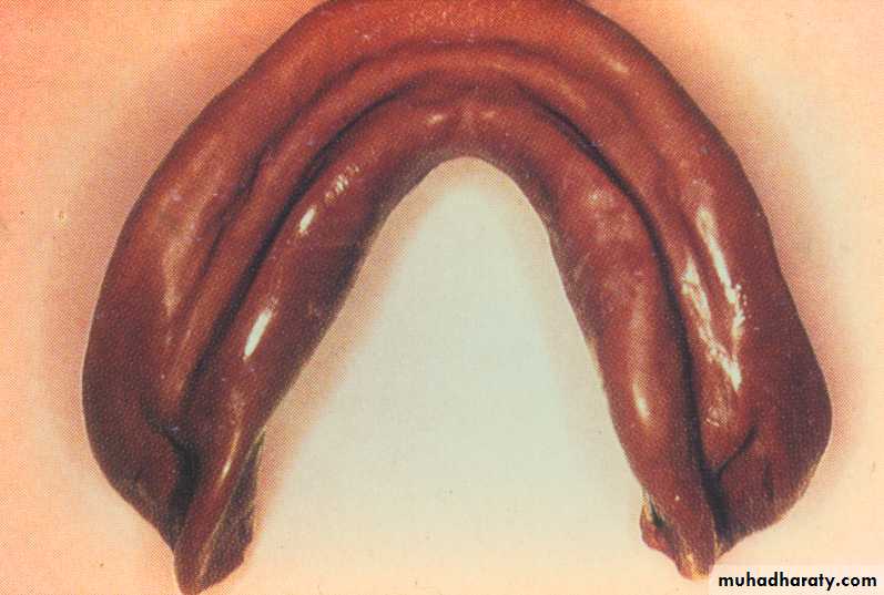 صناعة