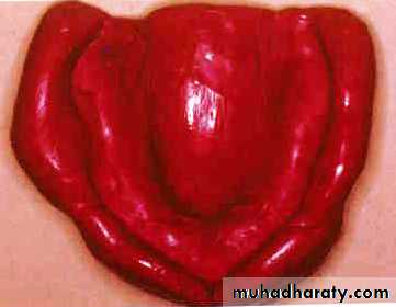 صناعة