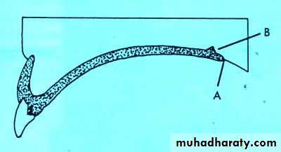صناعة