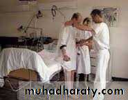 Lower limb