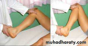 Lower limb