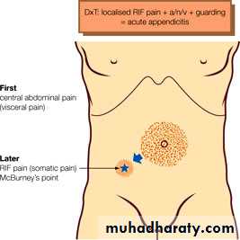 appendix