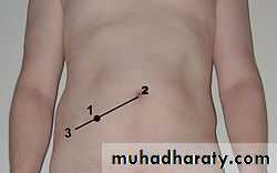 appendix