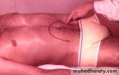 appendix
