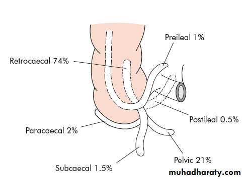 appendix