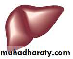 Adrenal gland