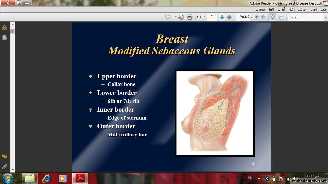 Breast