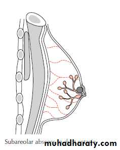 Breast