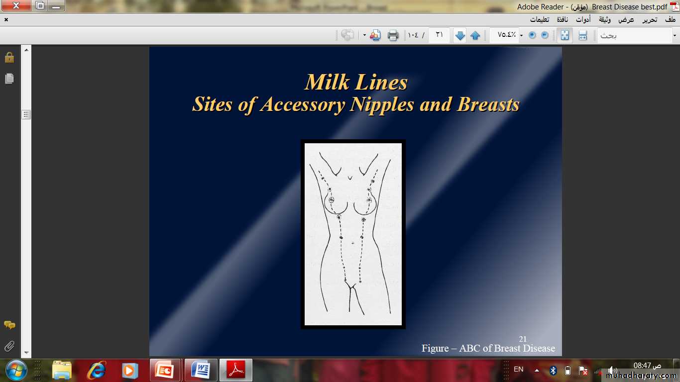 Breast