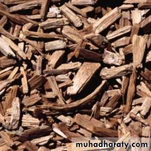 Respiratory