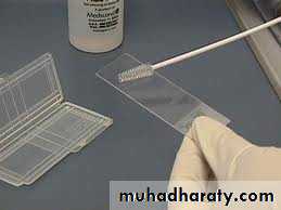 Respiratory
