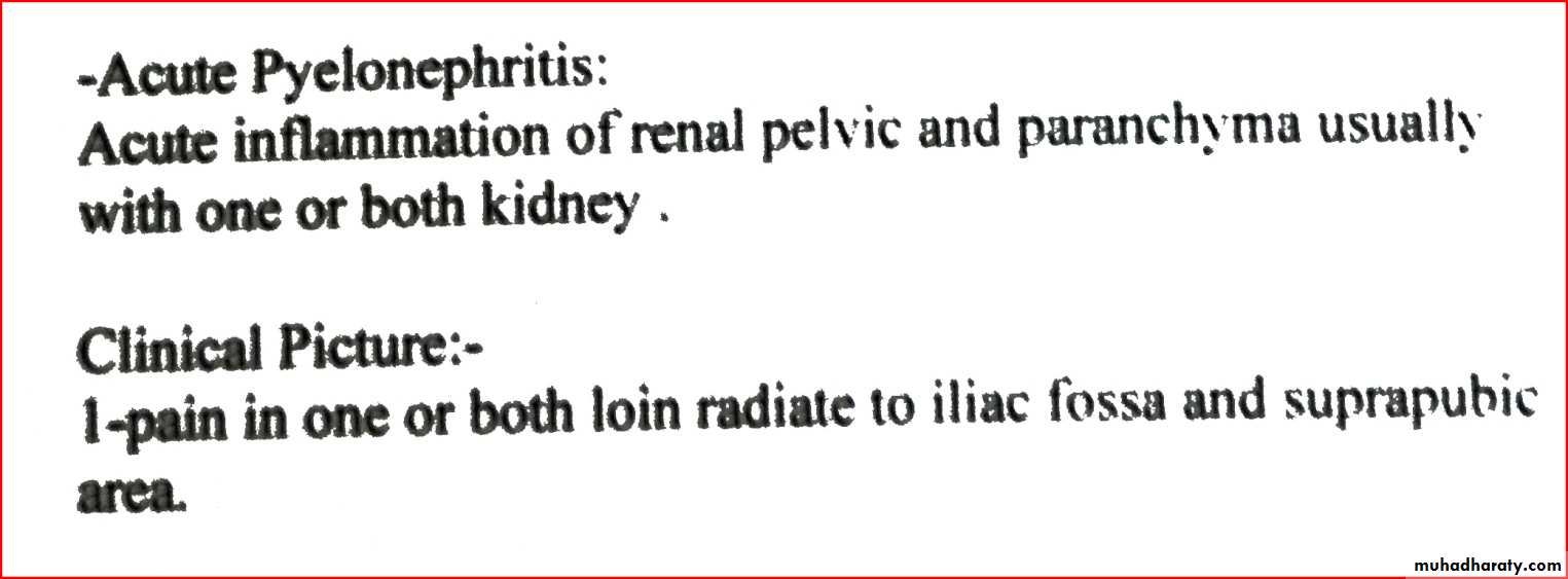 Renal