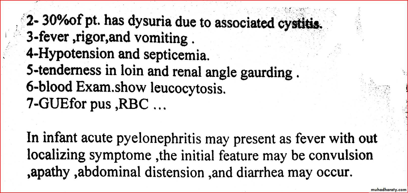Renal