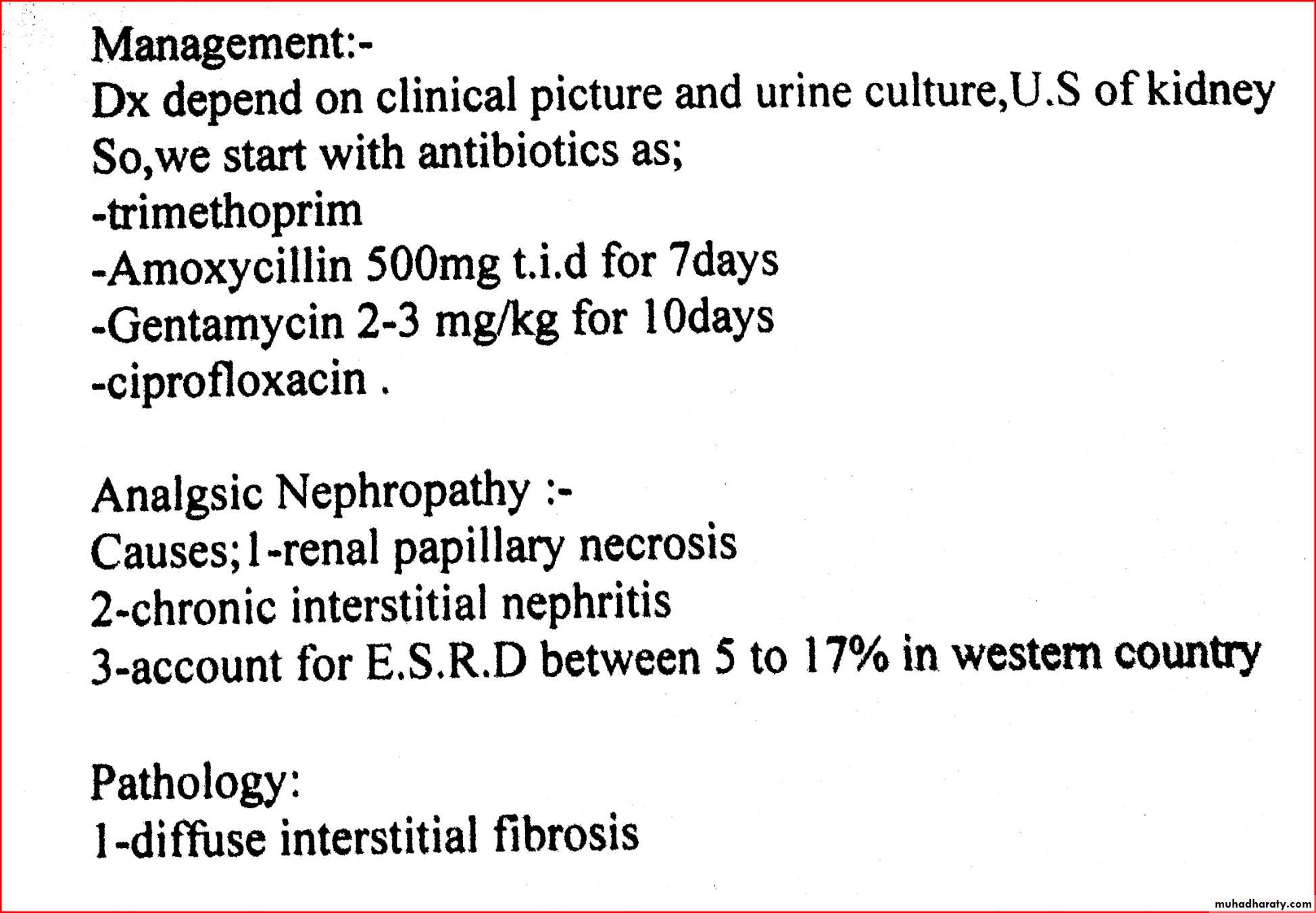 Renal