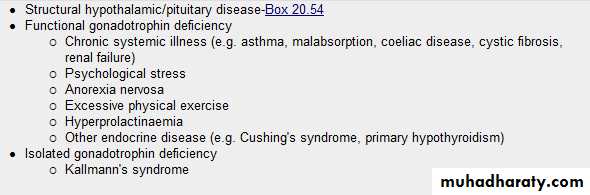 Endocrine