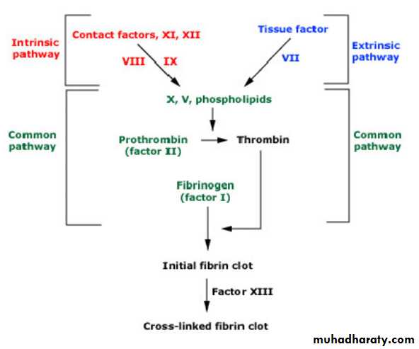 coagulation disorder
