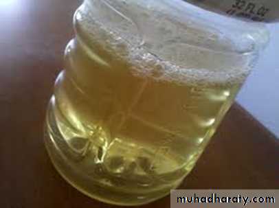 PROTINUREA