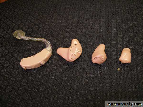 INNER EAR