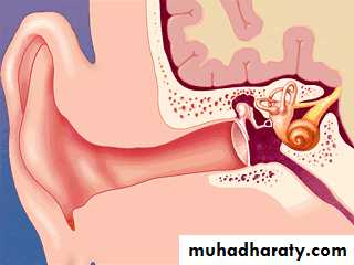 INNER EAR