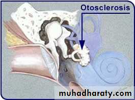 INNER EAR