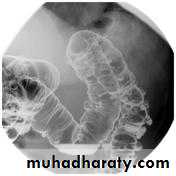 Small bowel