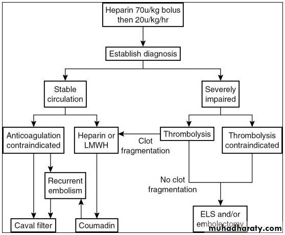 venous disorders
