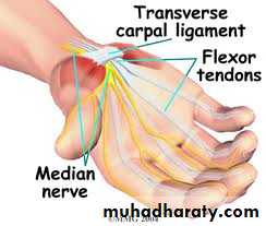 frcature spine and peripheral nerve