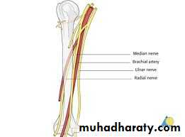 frcature spine and peripheral nerve