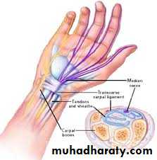 frcature spine and peripheral nerve