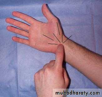 frcature spine and peripheral nerve