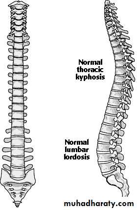 frcature spine and peripheral nerve