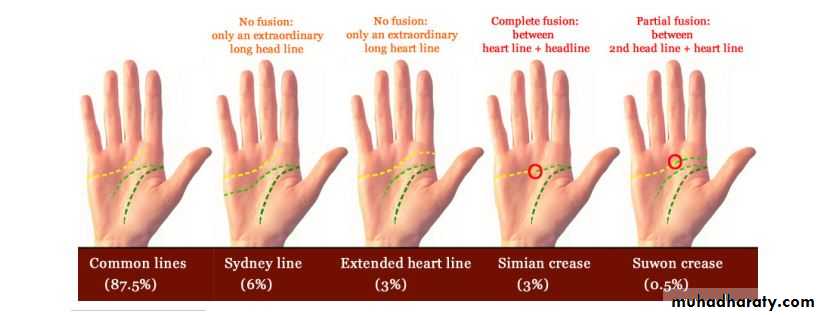 GENETICS4