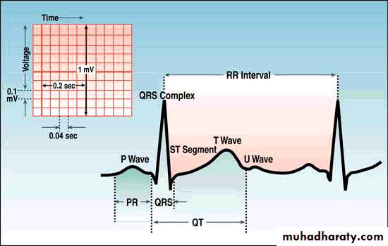 2 THE 12 LEADS STNDARD ECG