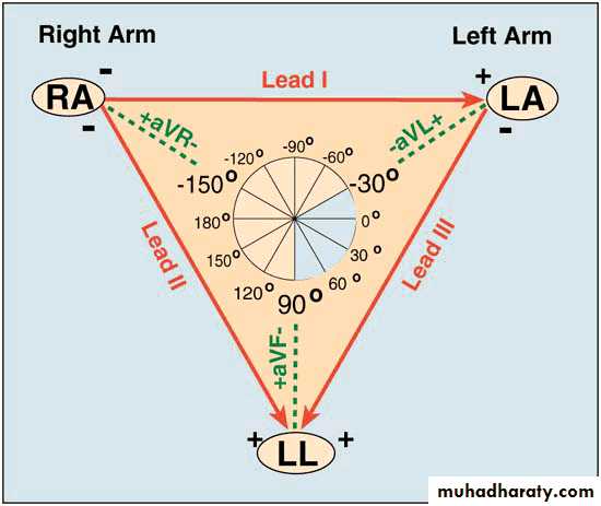 2 THE 12 LEADS STNDARD ECG