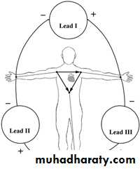2 THE 12 LEADS STNDARD ECG